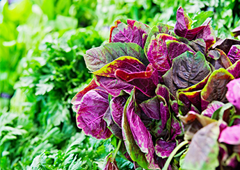 leafy greens