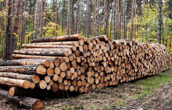 logs.jpg