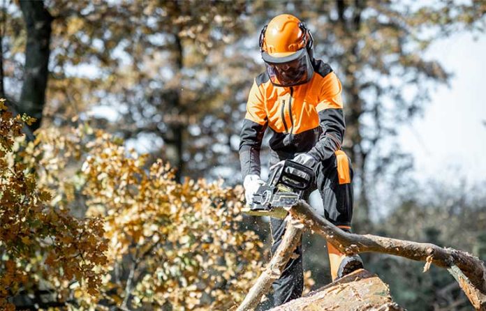 lumberman