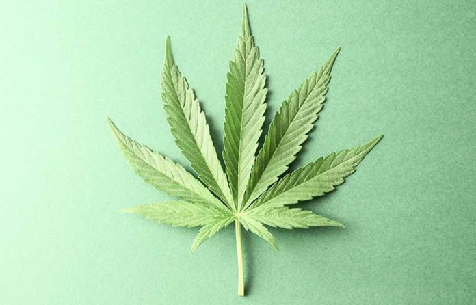 marijuana