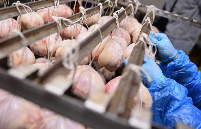 meat-processing-plant.jpg