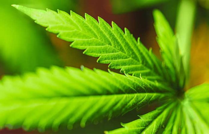 medical-marijuana.jpg
