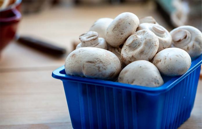 mushrooms