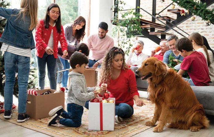 pet-safety.jpg