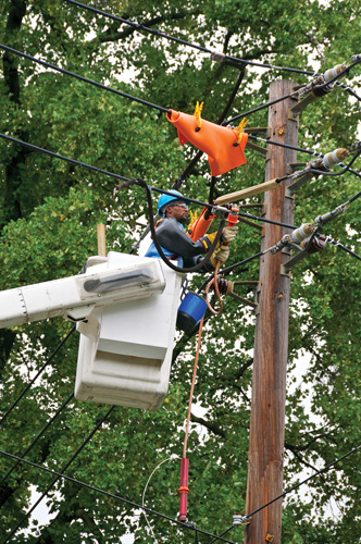 powerline-repairman.jpg