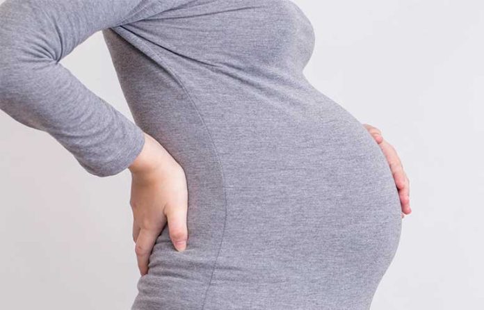 pregnant lady
