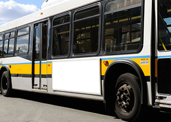 bus