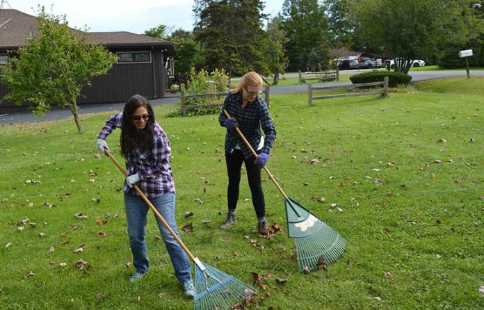 raking