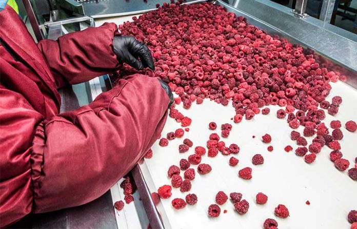 raspberries.jpg