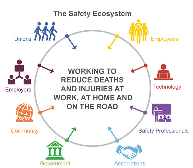 safety-ecosystem.jpg