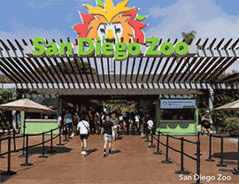 San Diego Zoo