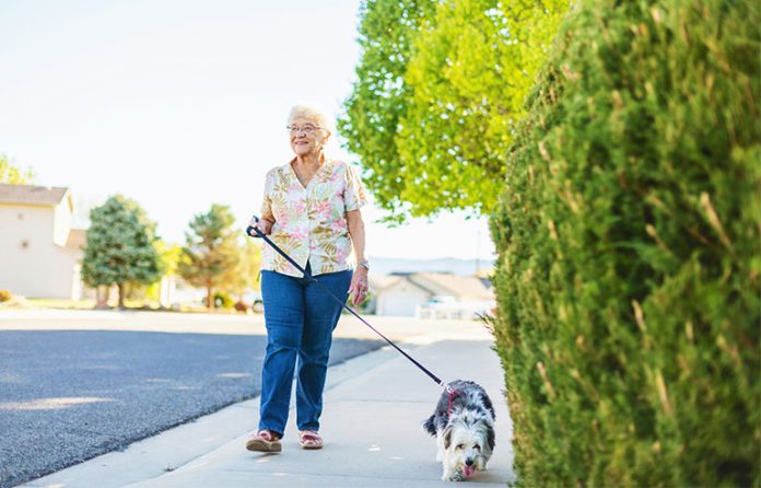 senior-walking-a-dog.jpg
