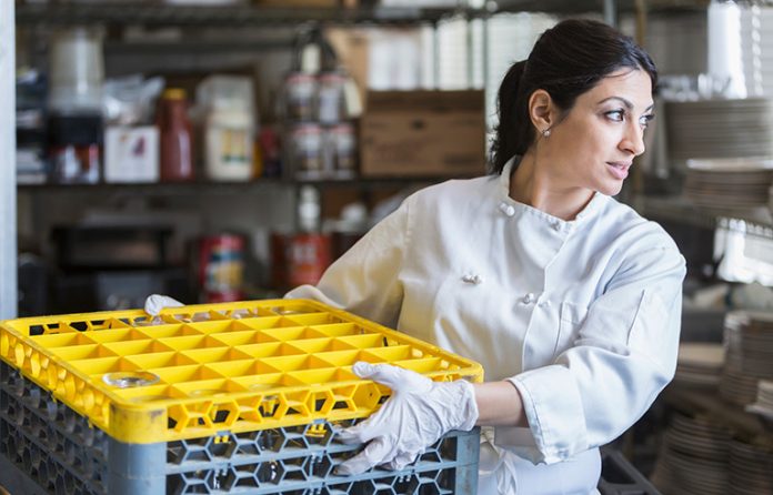 Restaurant dish cleaner