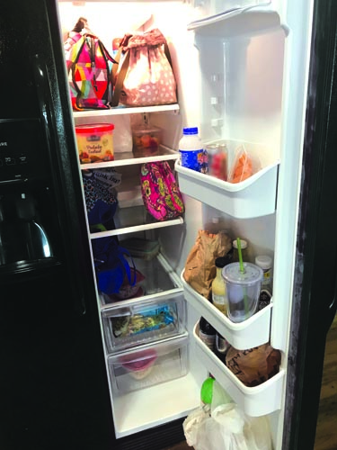 sh0318stfridge.jpg