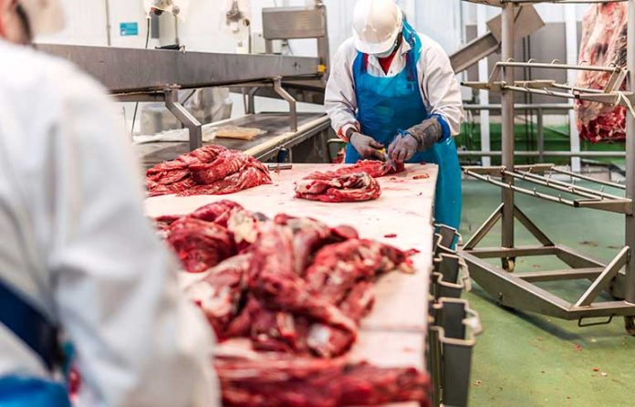 slaughterhouse.jpg