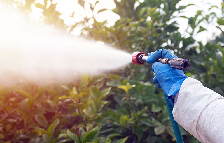 Pesticide manufacturers and bilingual labeling: EPA issues new guidance