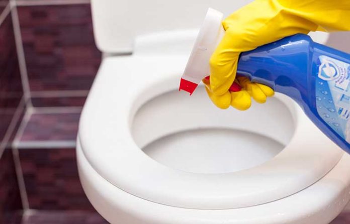 toilet-cleaning.jpg
