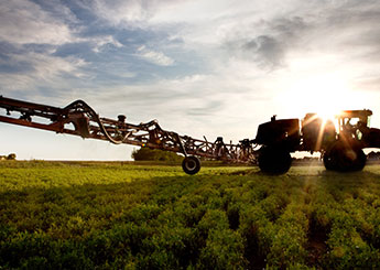 agriculture