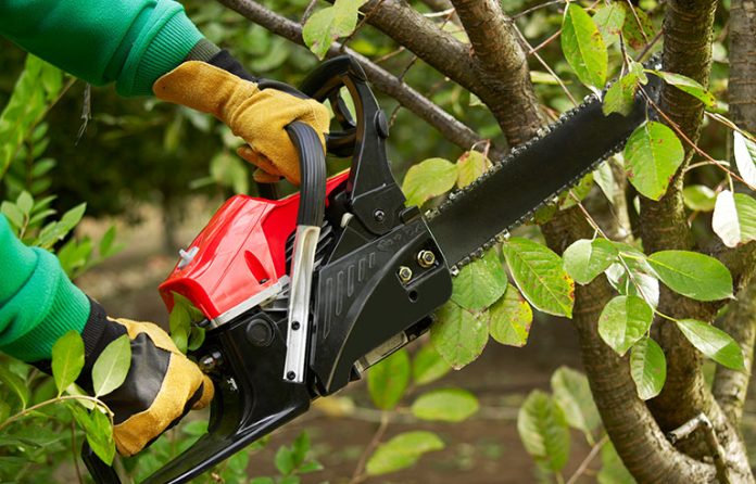 Worker cutting tree