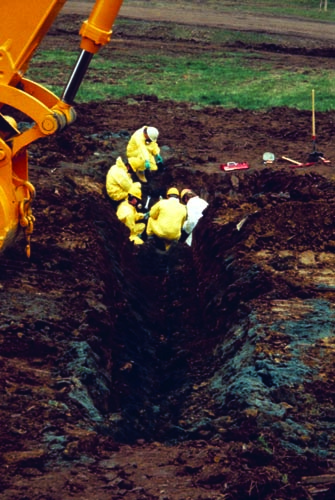 trench-832.jpg