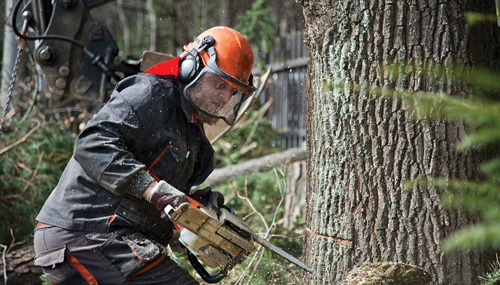 tsupchainsaw.jpg