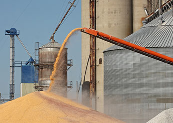 agriculture