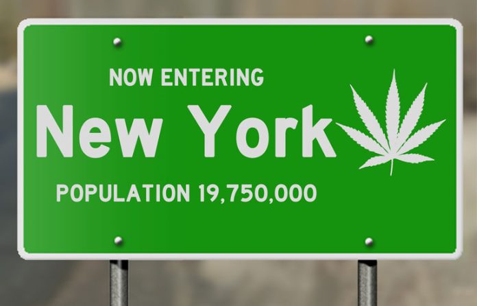 Cannabis NY