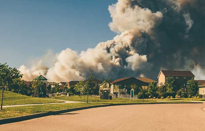 wildfire