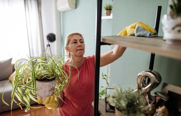 woman-cleaning