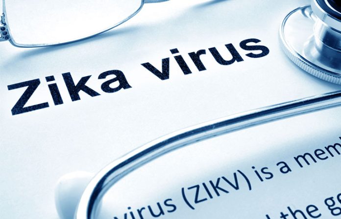 zika virus