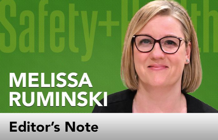 Melissa J Ruminski Editor's Note