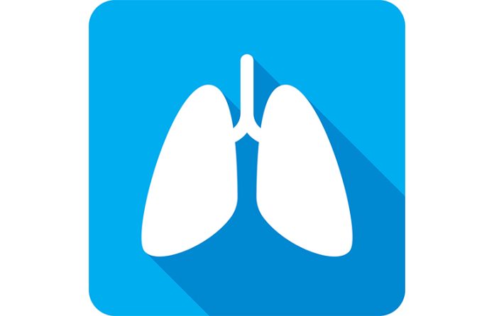 Illustration of human lungs on blue background