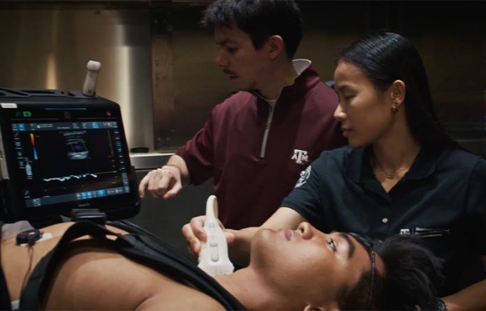 Texas A&M space heat research